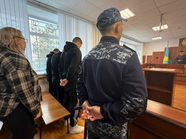 Посадили всех