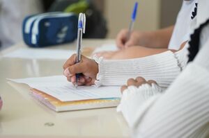 Часть учащихся второй смены перевели на дистанционку в Астане