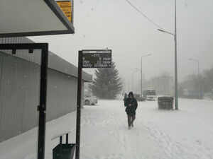 Отмороженные