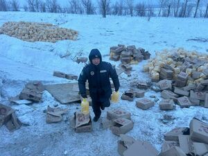 Дорожное братство