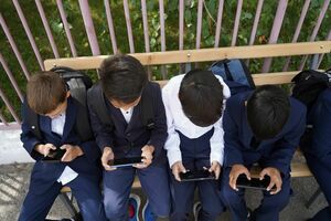 Не попадись в сети