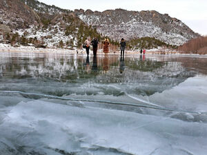 “Если приспичит по нужде - звоните, откроем!”