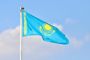 Конституция "под ключ"