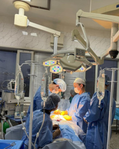 Подарила жизнь