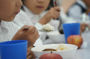 Липовый кашевар