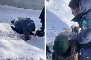 Не дали замерзнуть