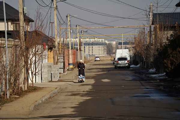 Несносная логика