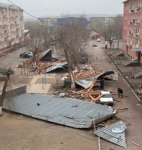 Ночная жесть