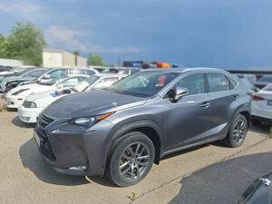 Случай Добрускина