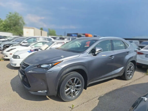 Случай Добрускина