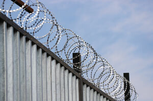 Плата за страдания