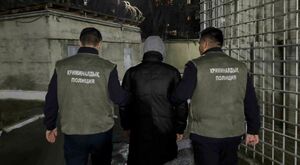 Когда по-хорошему не понимают