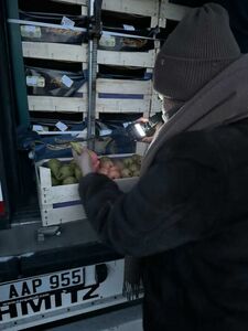 Ну и фрукты!