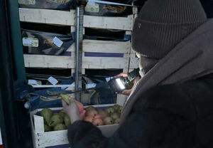 Ну и фрукты!