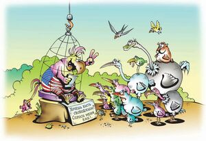 Гуру ты можешь и не быть,  а вот диплом иметь обязан