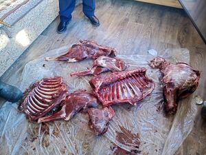 А должен был охранять!