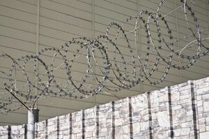 Кто здесь псих?