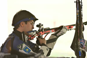 Выстрелы в яблочко