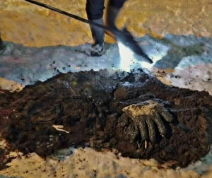 Попутали унитаз с мусоропроводом