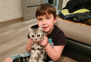 Цена надежды