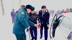 Крепче за баранку, держись, шофер!