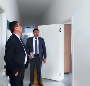 Косяк на косяке