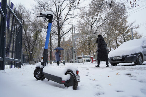 Регистрация  или профанация?