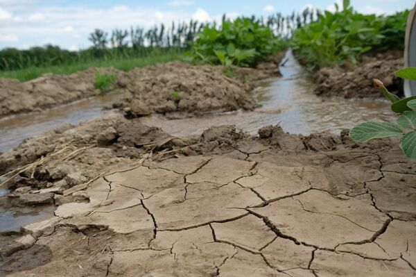 Водная тревога