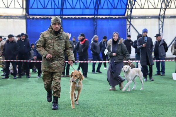 Чистая линия