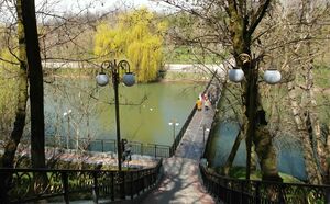 Слепые камеры