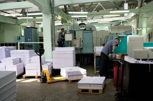 Синдром сироты