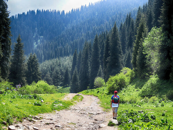 Природу не скроешь