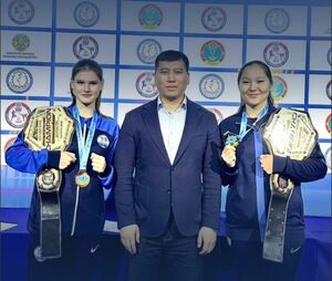 Боевые подруги