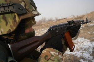 Жертвы вербовки