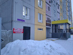 Подвал раздора