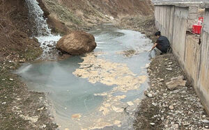 Экономия на штрафах