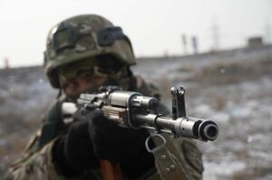 Гуманизм с запахом пороха