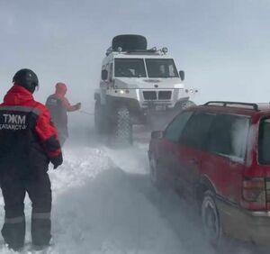 Весна пришла с морозами