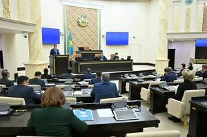 Тюркский щит