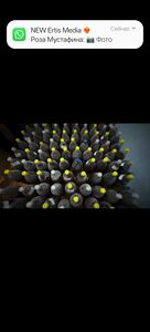 Ликёр собственного розлива