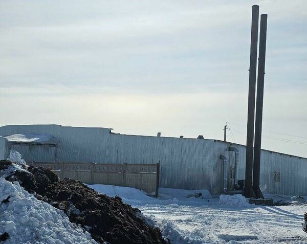 Смрадный воздух Акколя