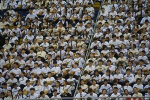 В 23 тысячи струн