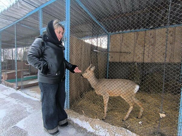 А вместо спасибо - одни гадости