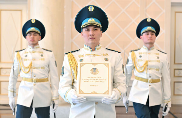 Конституция в действии