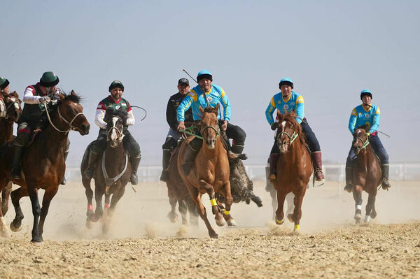 Битвы в степи