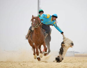 Битвы в степи