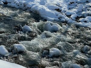 Поплывем или пронесет?