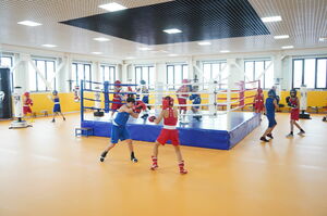 От медалей к системе