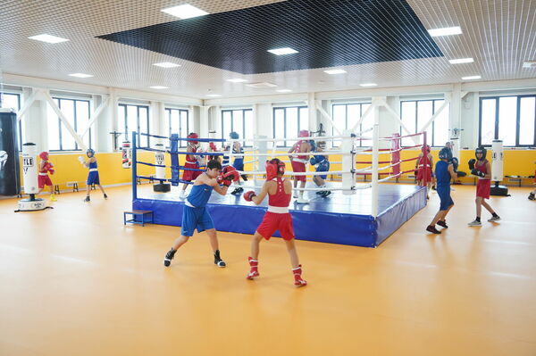 От медалей к системе