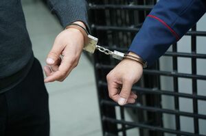 Излишнее гостеприимство